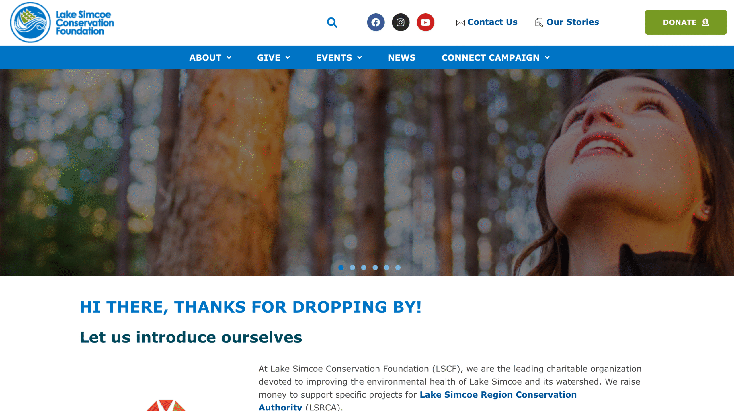 lake simcoe foundation site